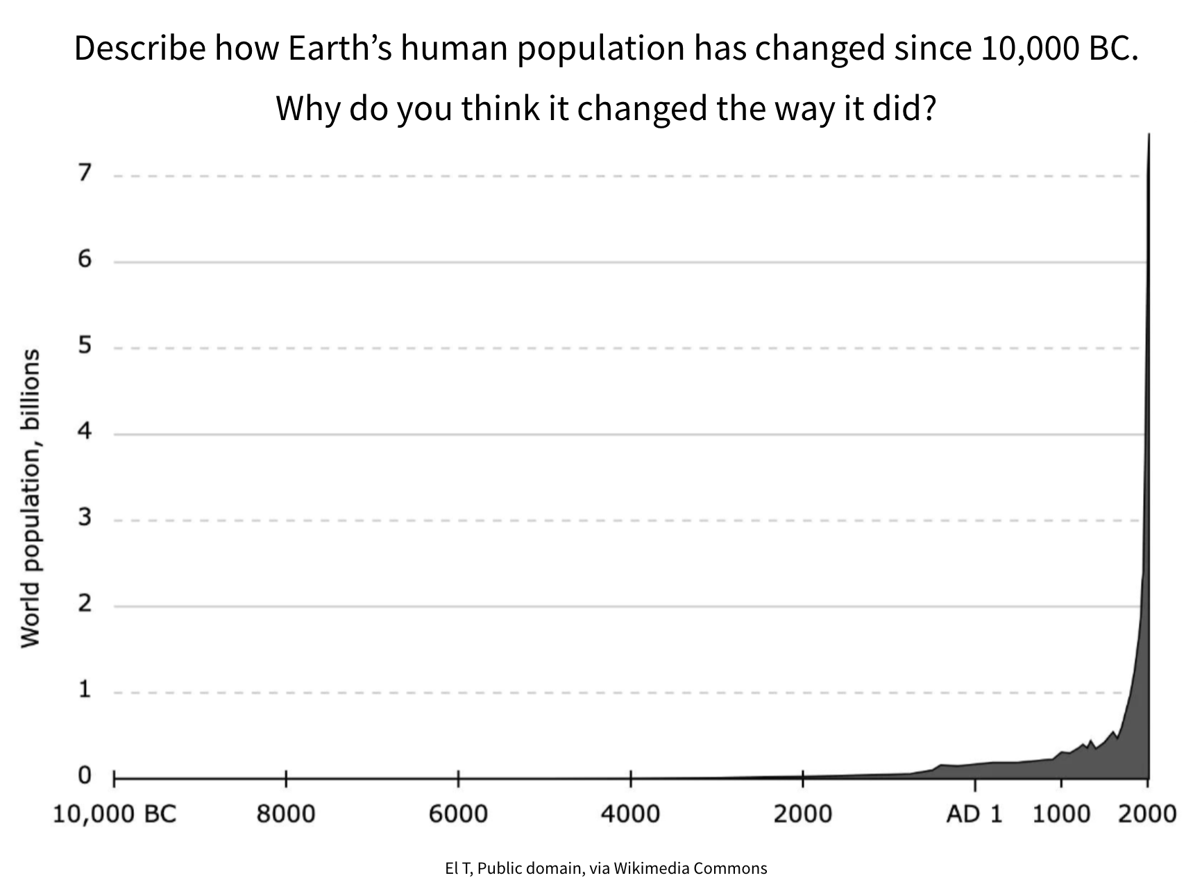 Human Population Bell Ringers